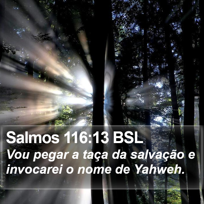 Salmos 116:13 BSL Bible Study