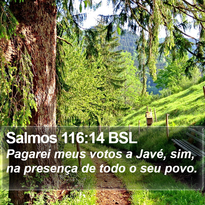 Salmos 116:14 BSL Bible Study