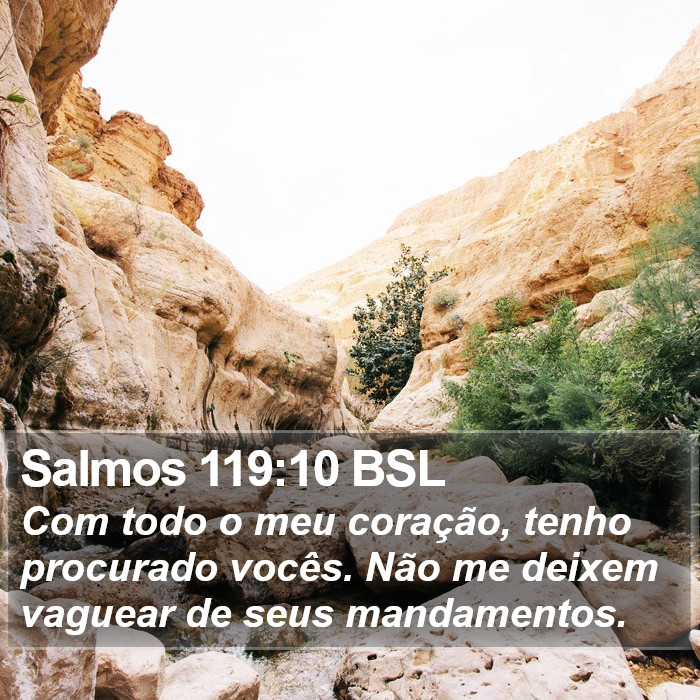 Salmos 119:10 BSL Bible Study