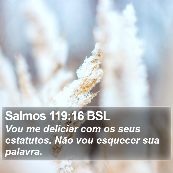 Salmos 119:16 BSL Bible Study