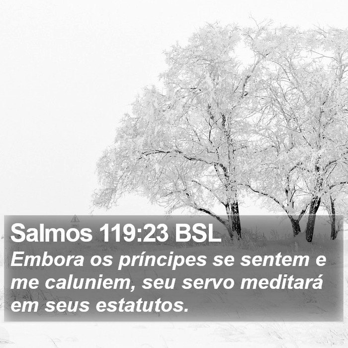 Salmos 119:23 BSL Bible Study
