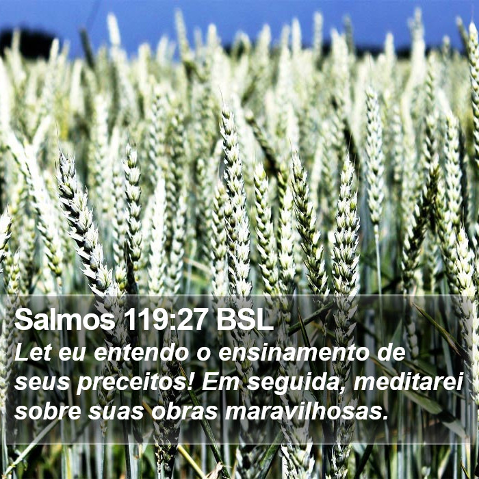 Salmos 119:27 BSL Bible Study