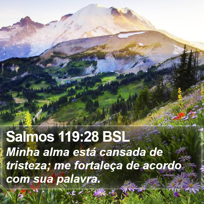 Salmos 119:28 BSL Bible Study