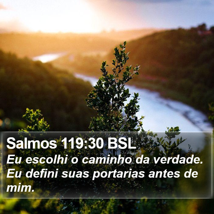 Salmos 119:30 BSL Bible Study