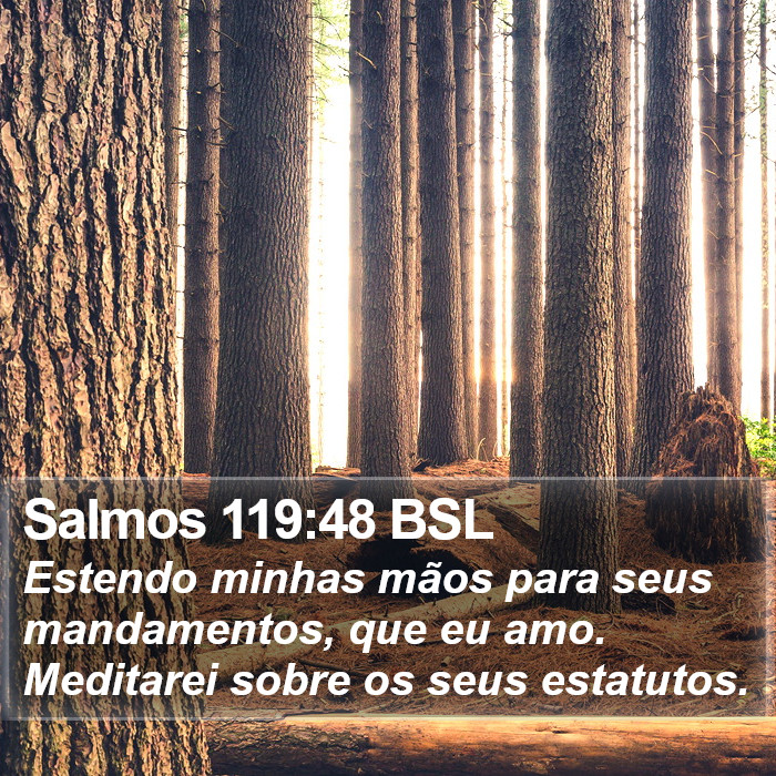 Salmos 119:48 BSL Bible Study
