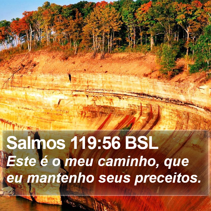 Salmos 119:56 BSL Bible Study