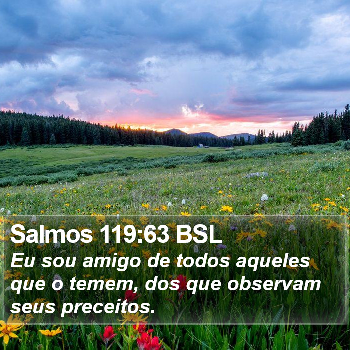 Salmos 119:63 BSL Bible Study