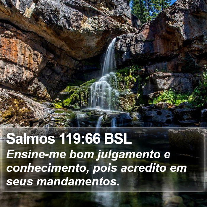 Salmos 119:66 BSL Bible Study