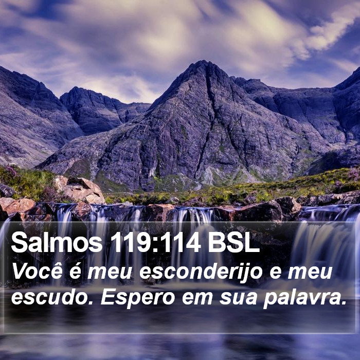 Salmos 119:114 BSL Bible Study