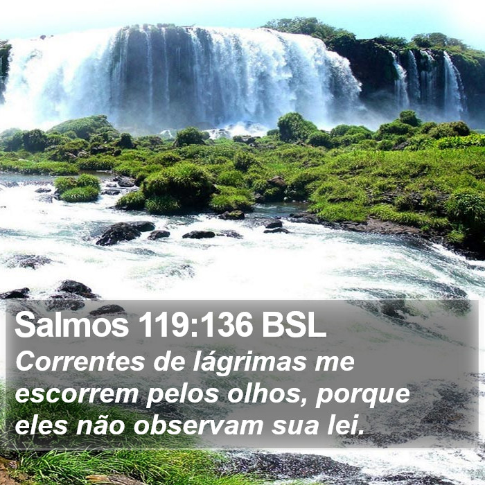 Salmos 119:136 BSL Bible Study