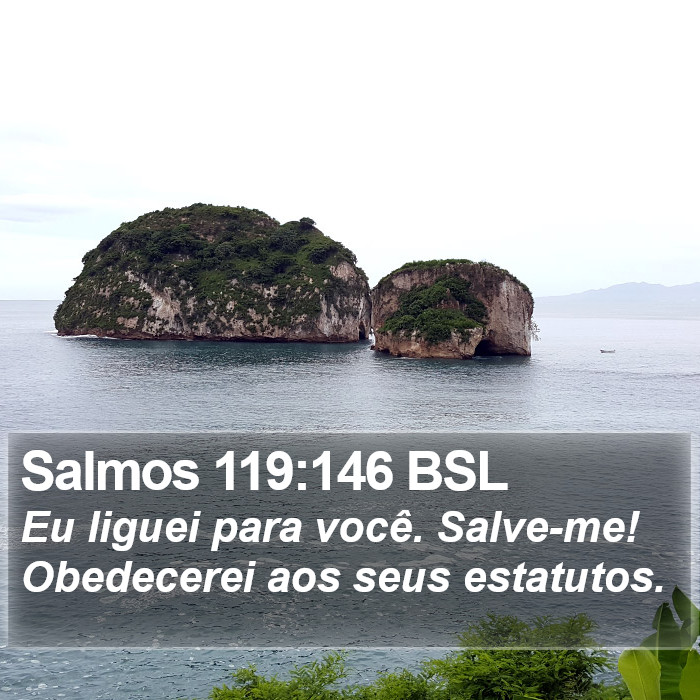 Salmos 119:146 BSL Bible Study