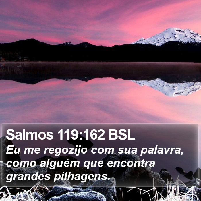 Salmos 119:162 BSL Bible Study