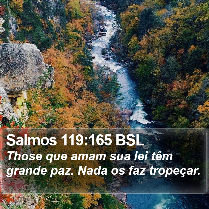 Salmos 119:165 BSL Bible Study