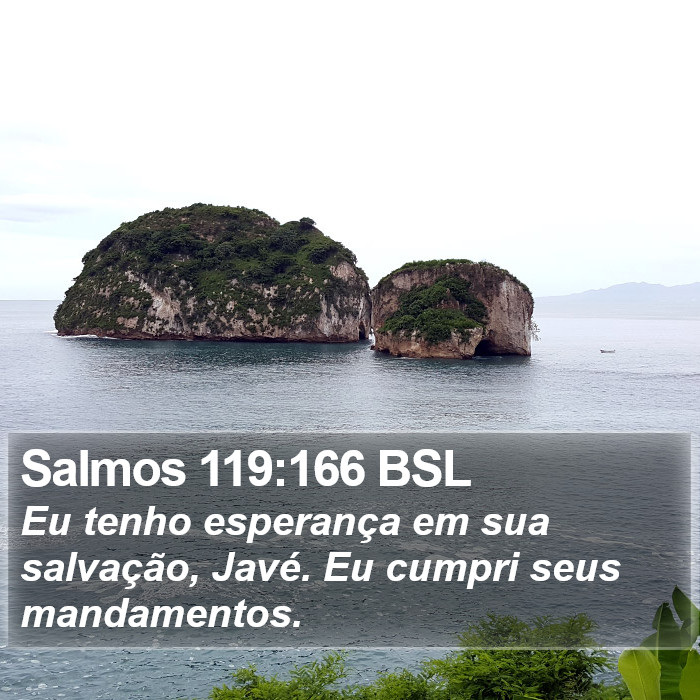 Salmos 119:166 BSL Bible Study