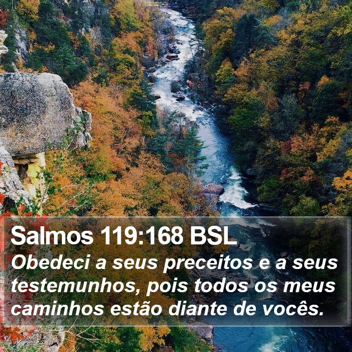 Salmos 119:168 BSL Bible Study