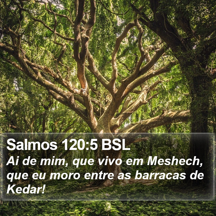 Salmos 120:5 BSL Bible Study
