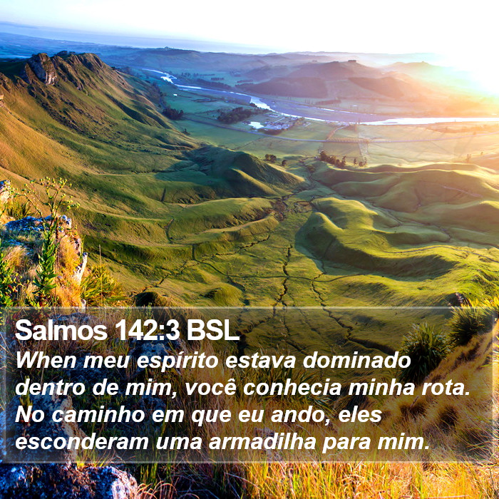 Salmos 142:3 BSL Bible Study