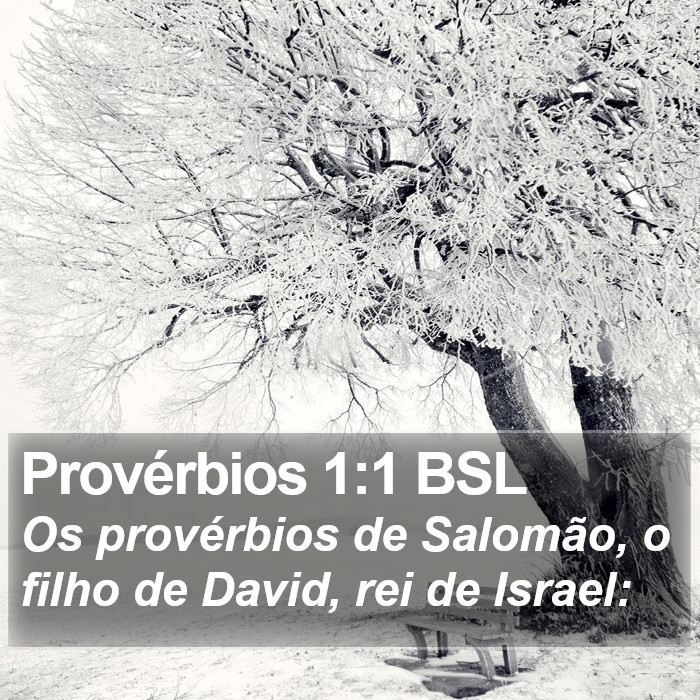 Provérbios 1:1 BSL Bible Study