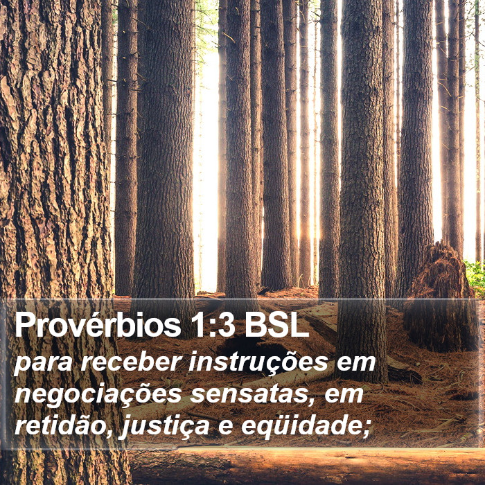 Provérbios 1:3 BSL Bible Study