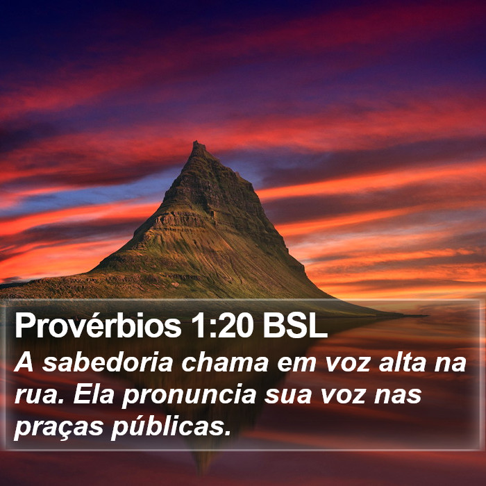 Provérbios 1:20 BSL Bible Study