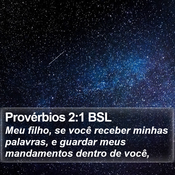 Provérbios 2:1 BSL Bible Study