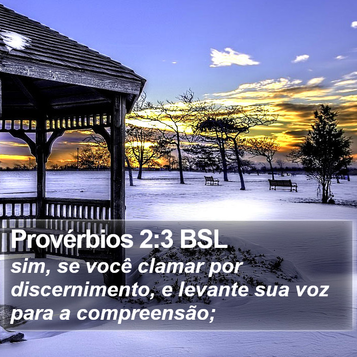 Provérbios 2:3 BSL Bible Study