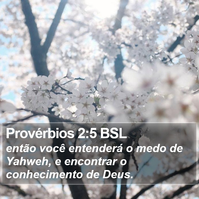 Provérbios 2:5 BSL Bible Study