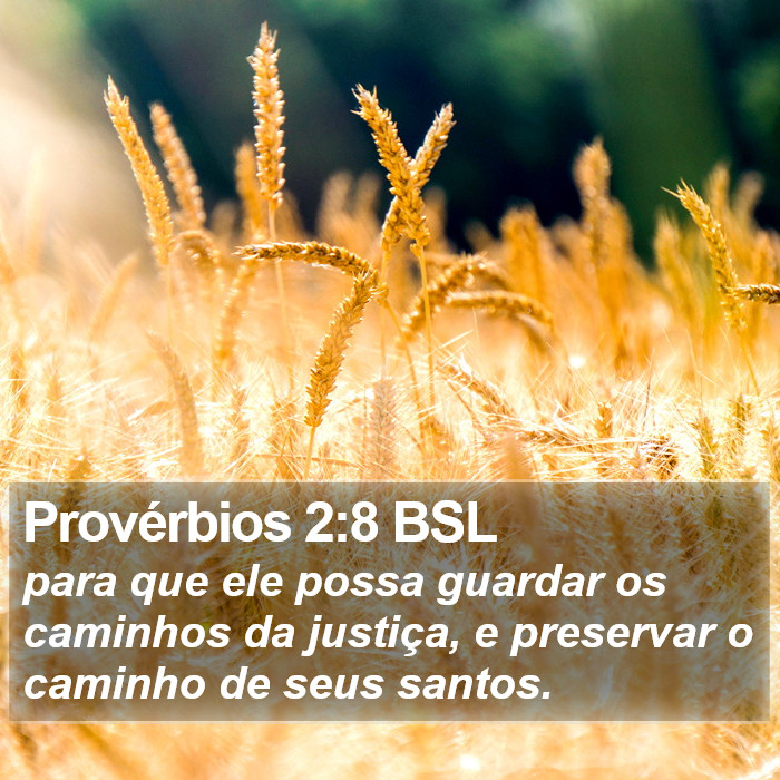 Provérbios 2:8 BSL Bible Study