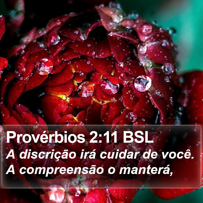 Provérbios 2:11 BSL Bible Study