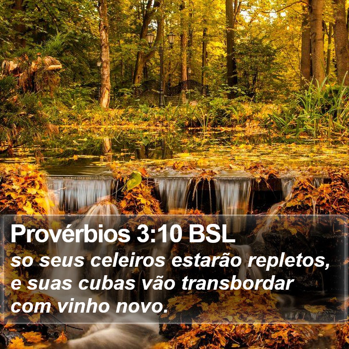 Provérbios 3:10 BSL Bible Study