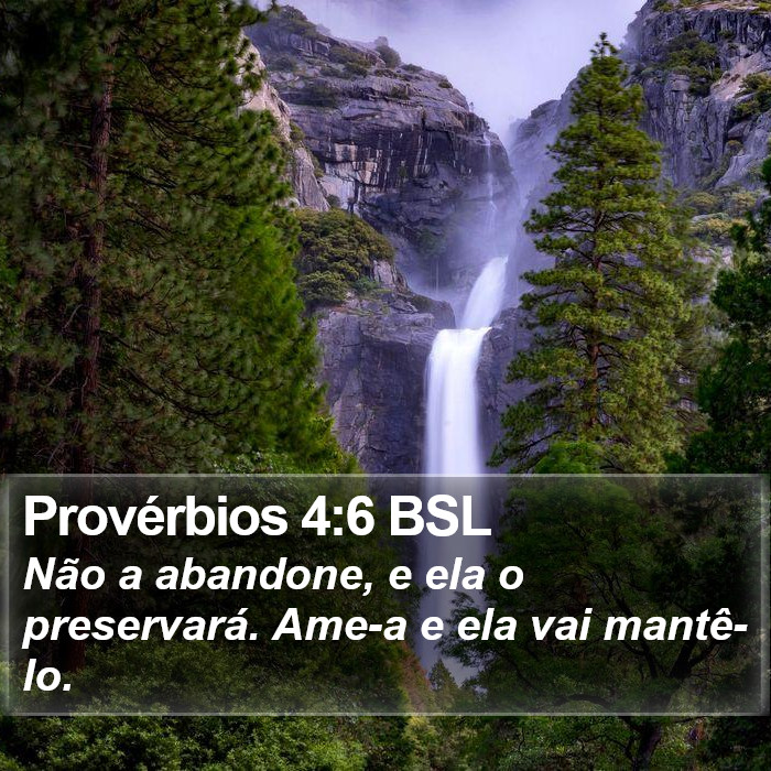 Provérbios 4:6 BSL Bible Study