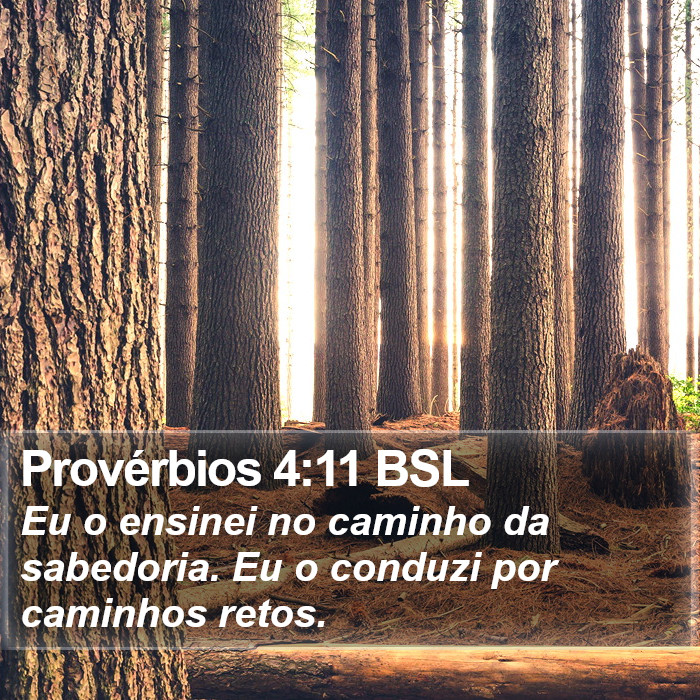 Provérbios 4:11 BSL Bible Study