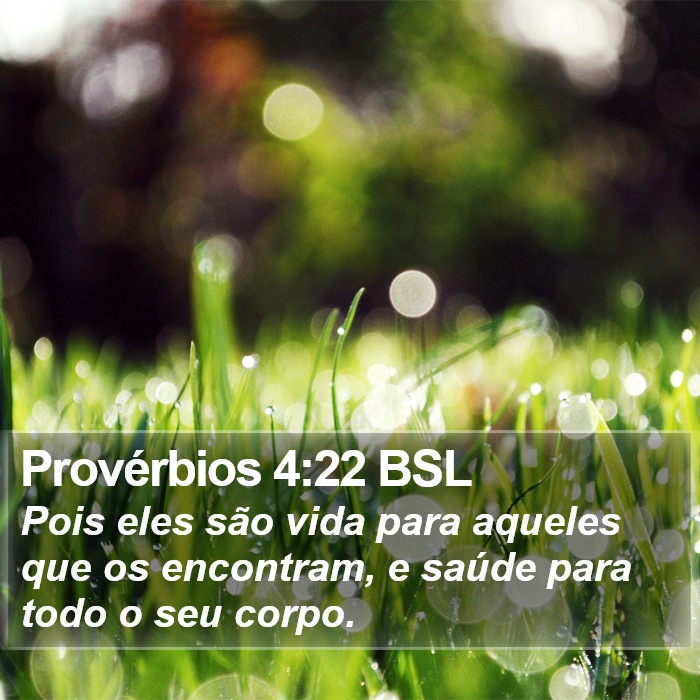 Provérbios 4:22 BSL Bible Study