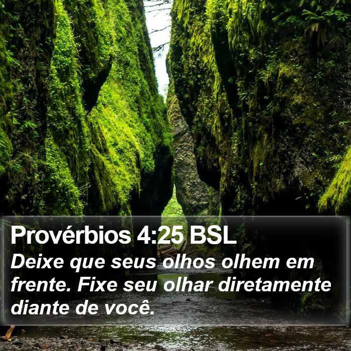 Provérbios 4:25 BSL Bible Study
