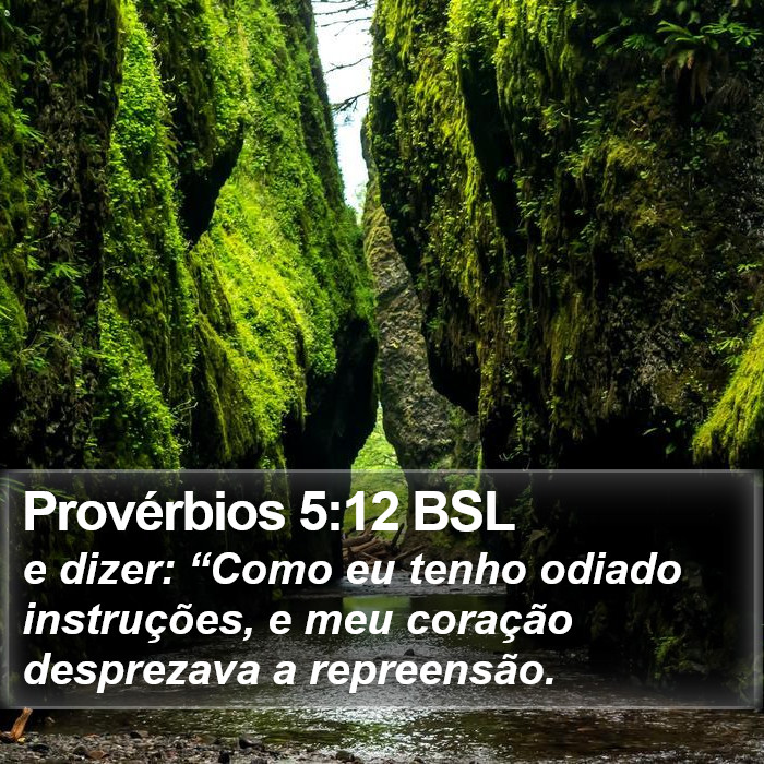 Provérbios 5:12 BSL Bible Study