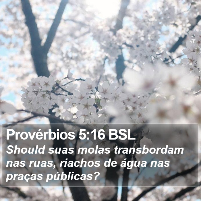 Provérbios 5:16 BSL Bible Study