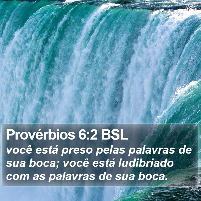 Provérbios 6:2 BSL Bible Study