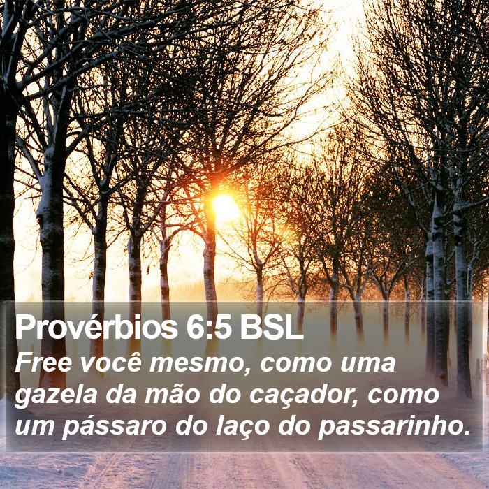 Provérbios 6:5 BSL Bible Study