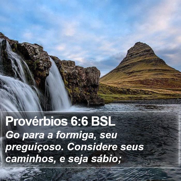 Provérbios 6:6 BSL Bible Study