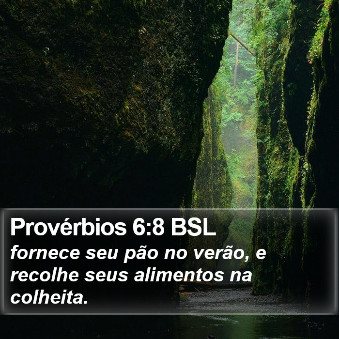 Provérbios 6:8 BSL Bible Study