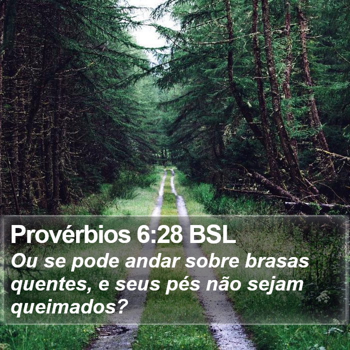 Provérbios 6:28 BSL Bible Study