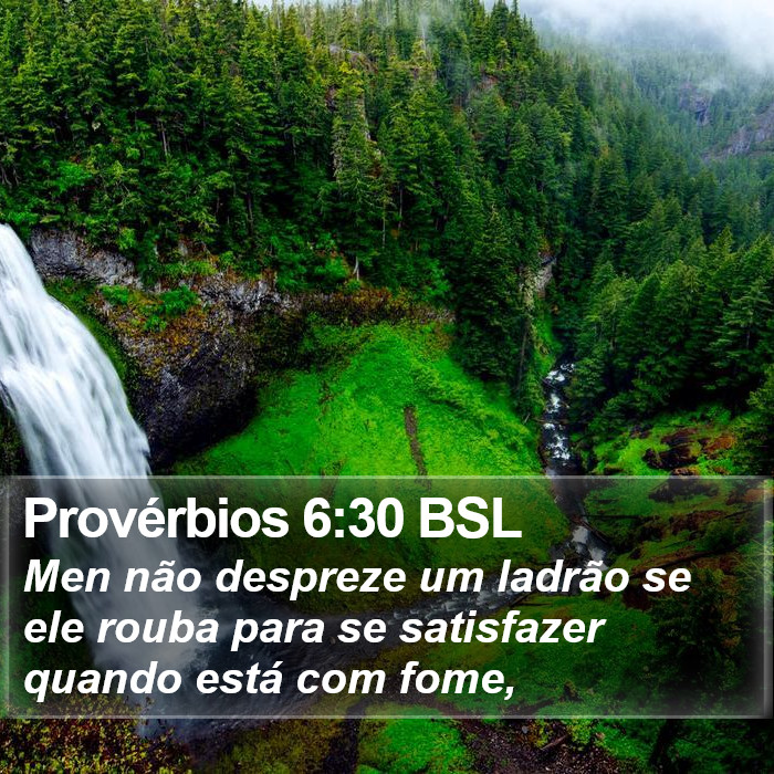 Provérbios 6:30 BSL Bible Study