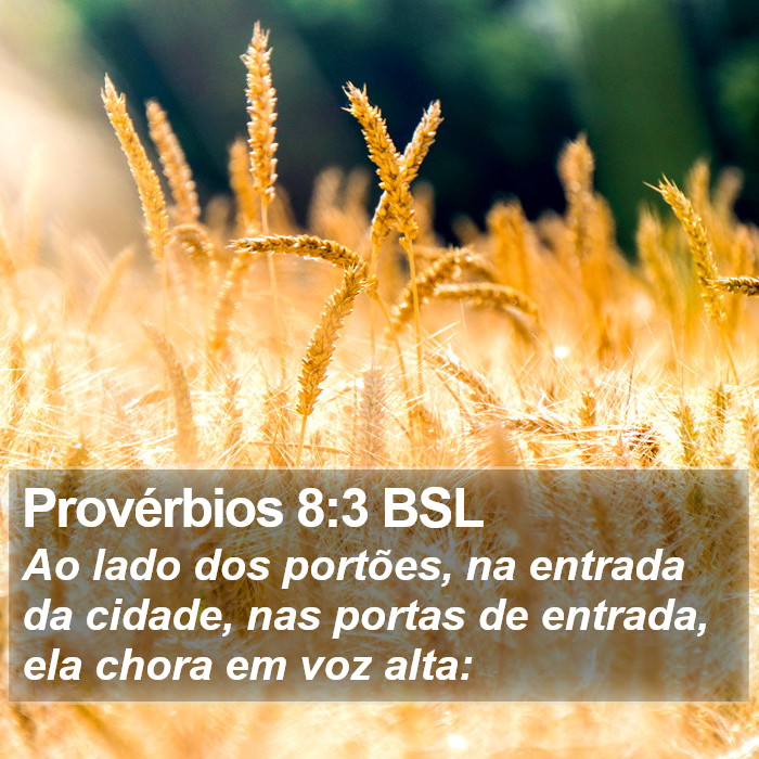 Provérbios 8:3 BSL Bible Study