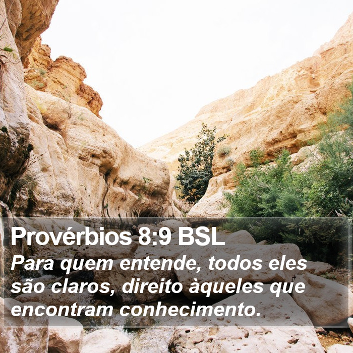 Provérbios 8:9 BSL Bible Study