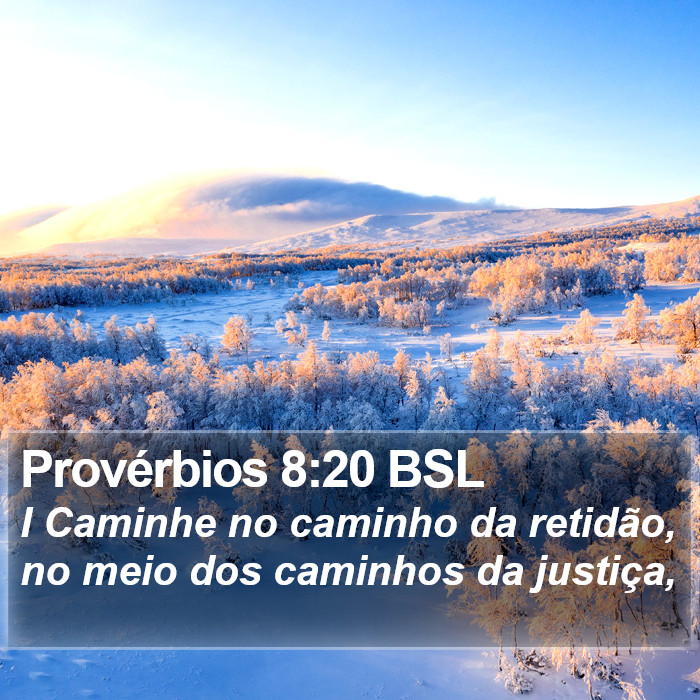 Provérbios 8:20 BSL Bible Study