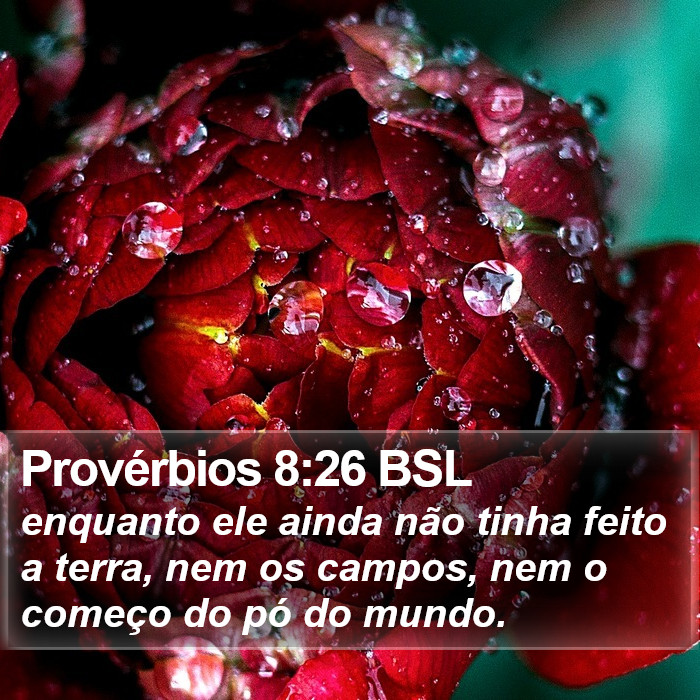 Provérbios 8:26 BSL Bible Study