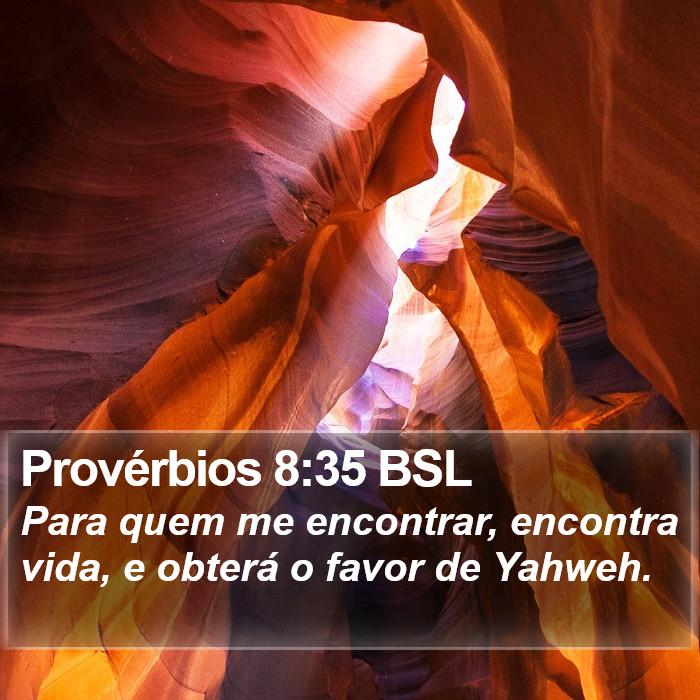 Provérbios 8:35 BSL Bible Study