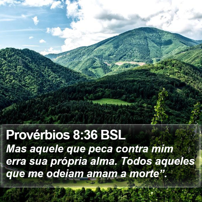 Provérbios 8:36 BSL Bible Study