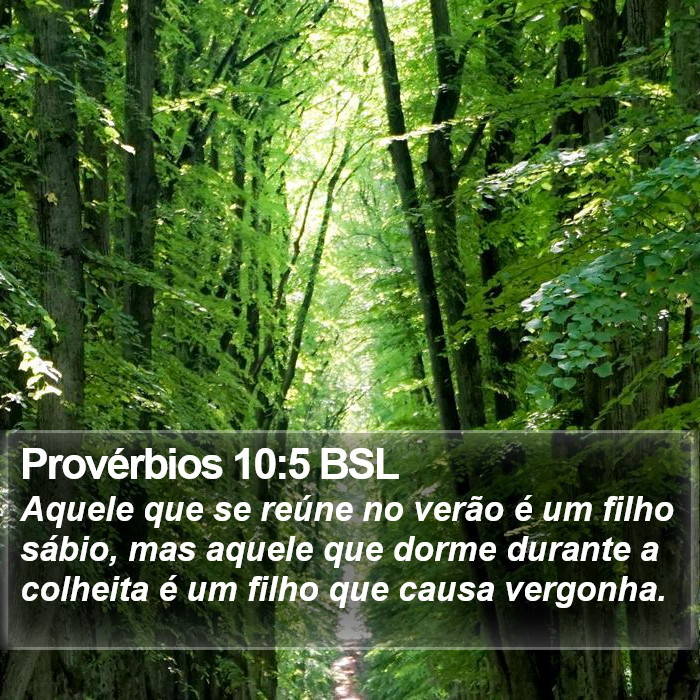 Provérbios 10:5 BSL Bible Study