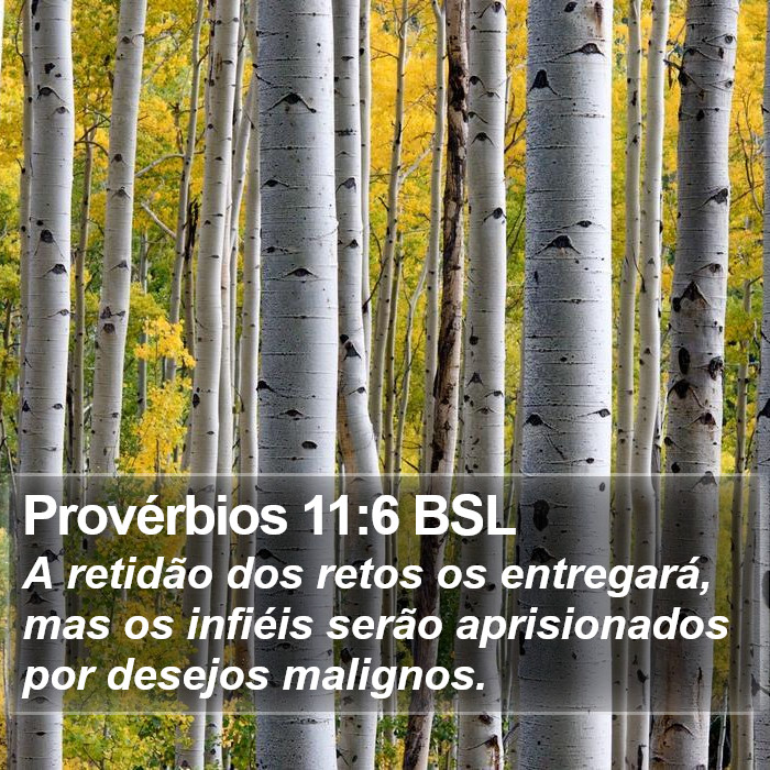 Provérbios 11:6 BSL Bible Study